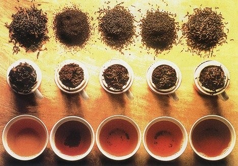 Виды и сорта чая: полезные свойства и как заваривать