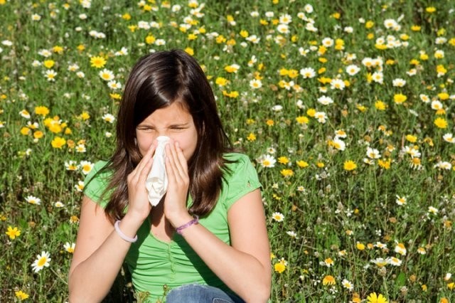 Средства от весенней аллергии