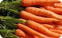 Морковь вылечит цистит и метеоризм