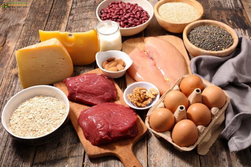Содержание ценных белков в различных продуктах