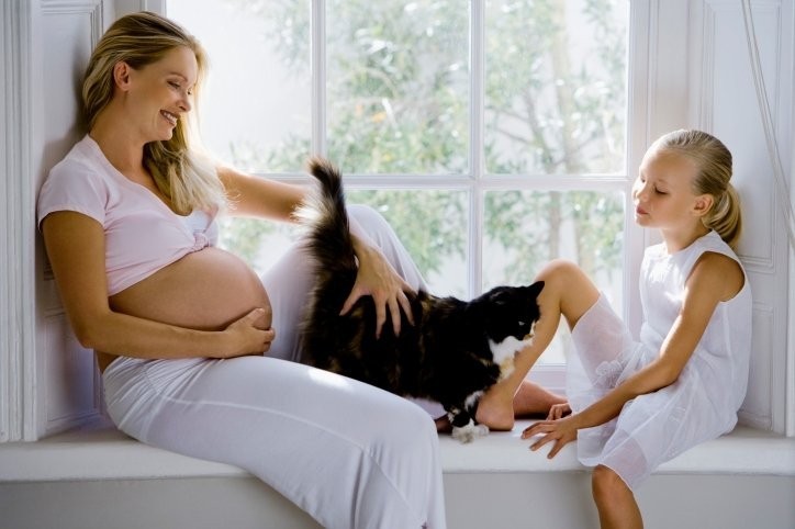Как уберечься от токсоплазмоза во время беременности?