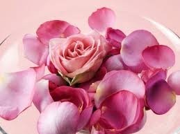Розовая вода - источник красоты и здорового цвета лица