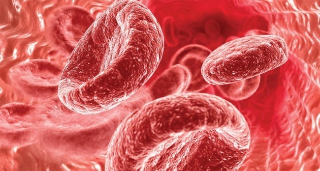 Как понизить гемоглобин в крови: 4 правила диеты и 4 народных средства