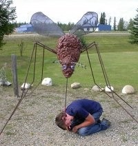 Средство при аллергии на укусы насекомых
