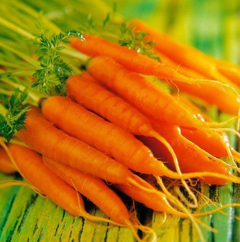 Морковь: целебные свойства и применение в косметологии