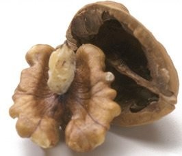 Перегородки грецких орехов полезны для щитовидной железы