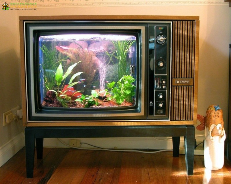 Рыбки вместо телевизора