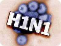 Профилактика свиного гриппа (H1N1)