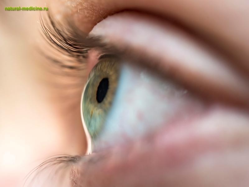 Ученые рассказали, как не допустить ухудшения зрения