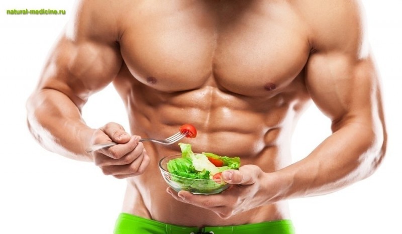 Роль белков, жиров, углеводов и воды для увеличения мышечной массы