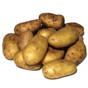 Все, что вы хотели знать о картофеле