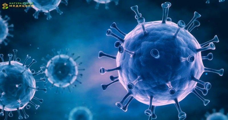 7 возможных причин и версий возникновения коронавируса