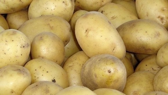 Лечимся картофельными компрессами: 3 рецепта