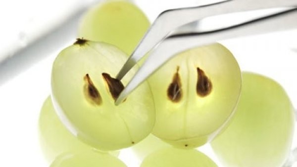 Масло виноградных косточек в косметологии