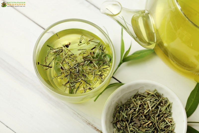 Зеленый чай: состав, полезные свойства, противопоказания, как заваривать и пить