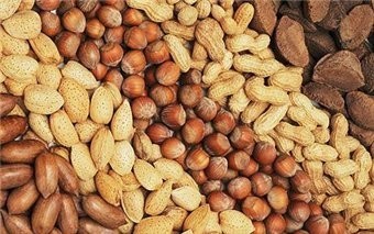 Орехи и бобовые сжигают жир