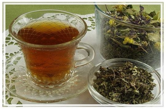 Копорский чай – кладезь здоровья