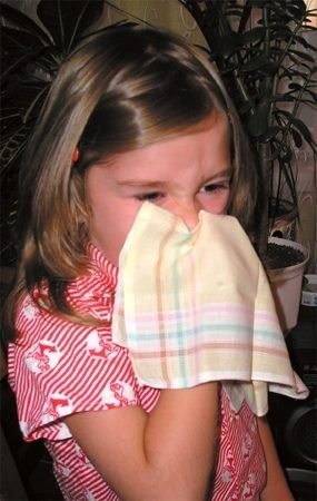 Аллергический ринит (насморк) у ребёнка