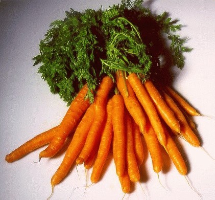 Поосторожней с морковью