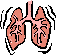 Лечение болезней органов дыхания