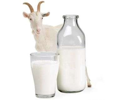 Виды молока, польза и состав: грудное, коровье, козье, соевое, рисовое