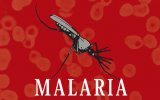 Сборник рецептов от малярии