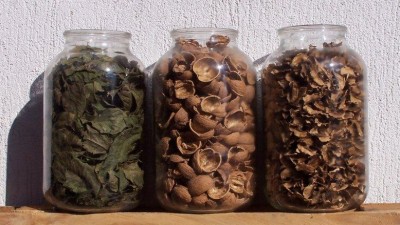 Настойка на грецких орехах: чем полезна, как применяется и 7 рецептов